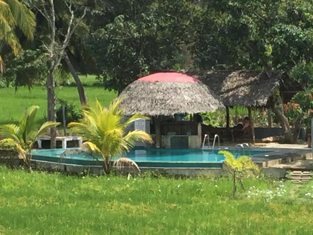 سيغيرِيا Nelu Resort المظهر الخارجي الصورة